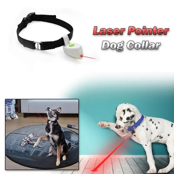 Laser Pointer Pet Pet Collar - Uniq Niche