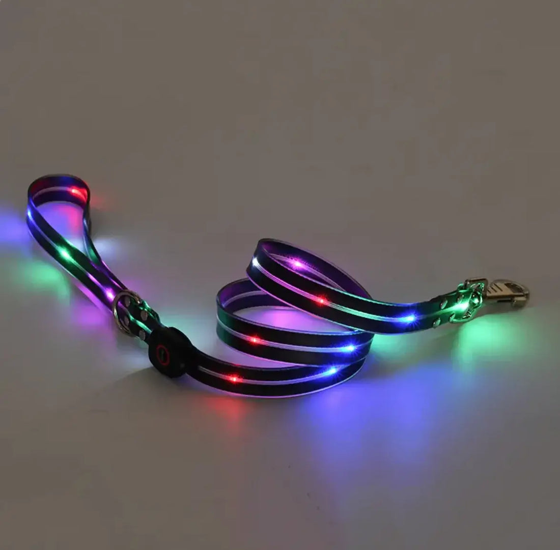 GlowSafe LED Pet Leash & Collar