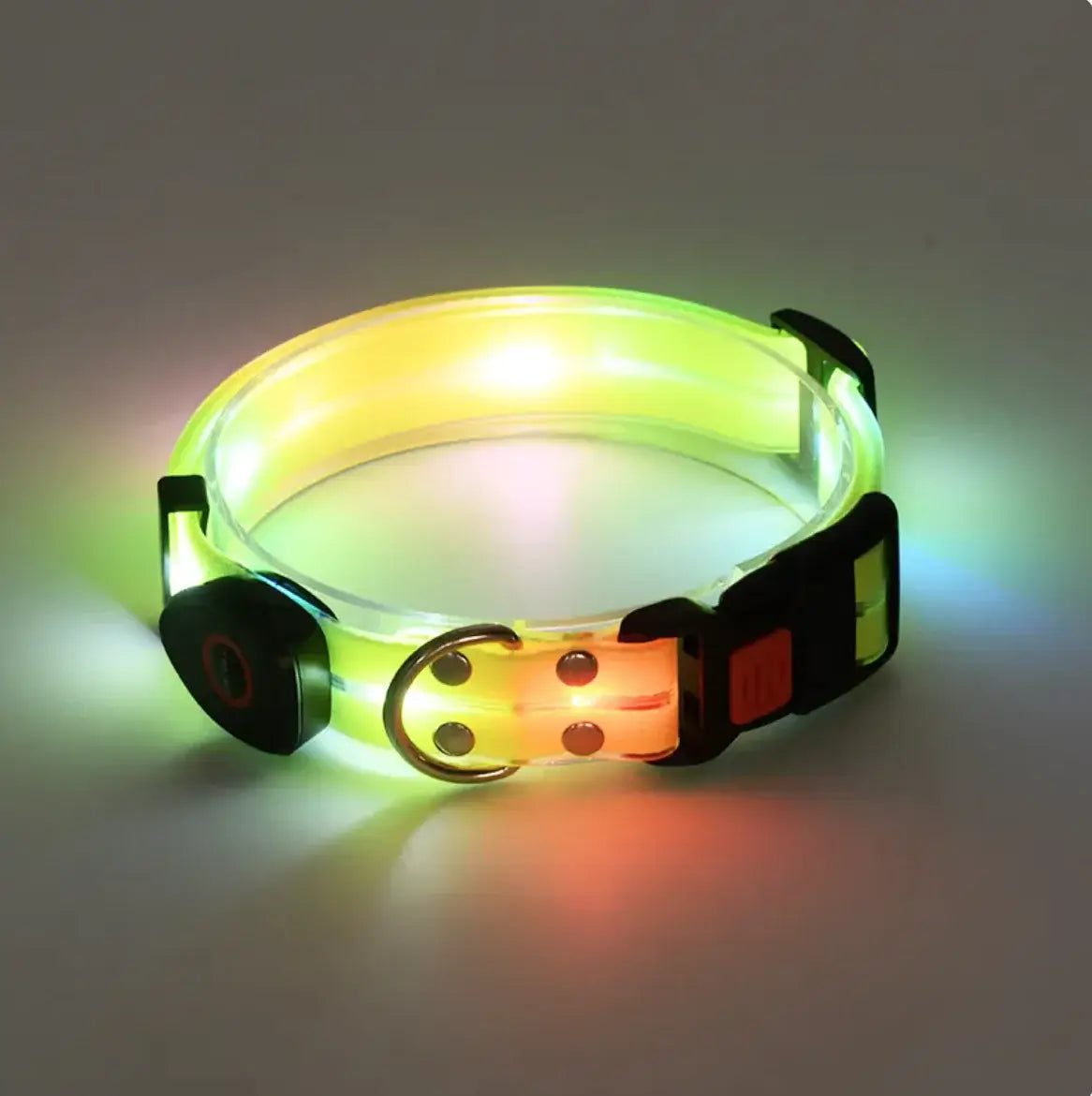 GlowSafe LED Pet Leash & Collar