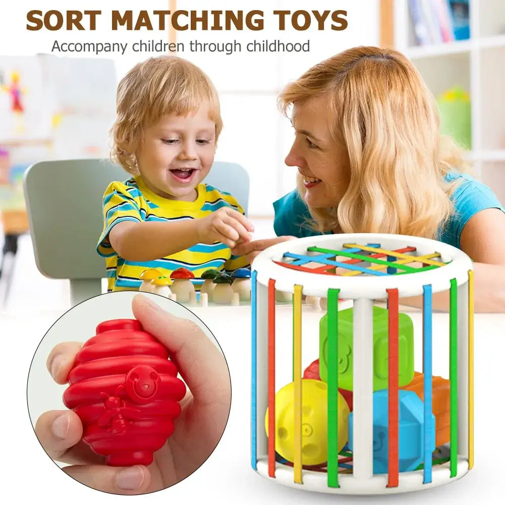 Clever Cubes Learning Sorter