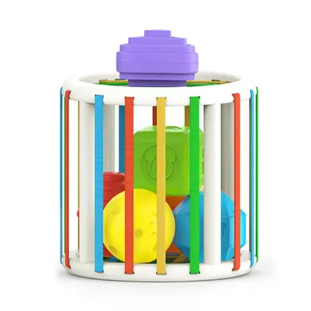Clever Cubes Learning Sorter