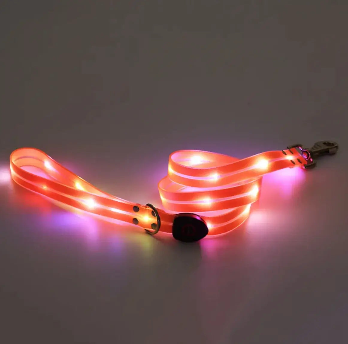 GlowSafe LED Pet Leash & Collar