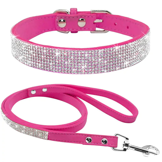 Pet Collar - Uniq Niche