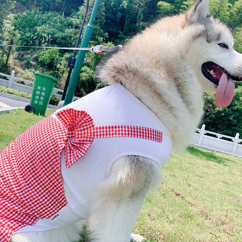 Dog Clothes Princess Dog Costume Labrador Golden Retriever Big Dog Clothes - Uniq Niche