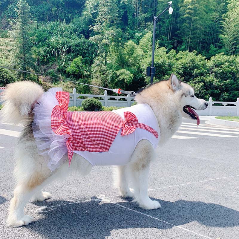 Dog Clothes Princess Dog Costume Labrador Golden Retriever Big Dog Clothes - Uniq Niche