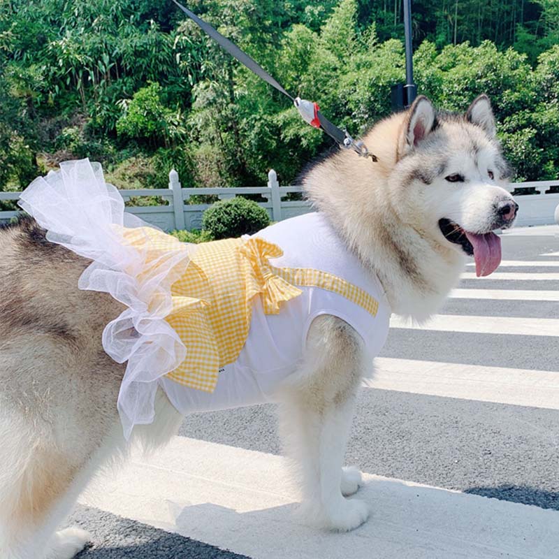 Dog Clothes Princess Dog Costume Labrador Golden Retriever Big Dog Clothes - Uniq Niche