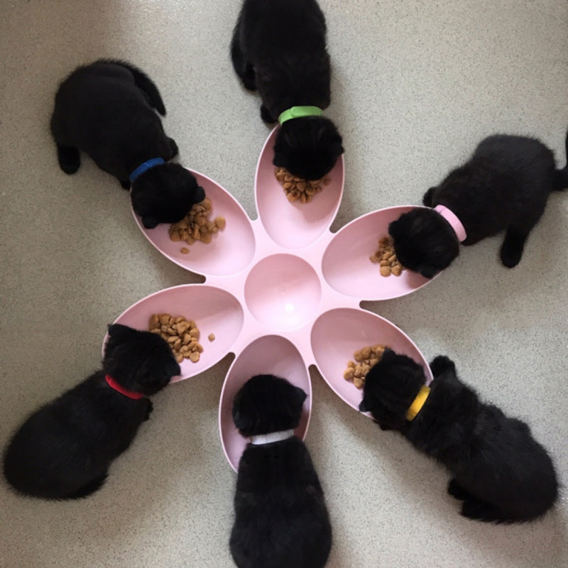 Pet dinner plate - Uniq Niche