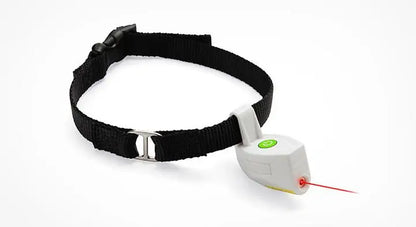 Laser Pointer Pet Pet Collar - Uniq Niche