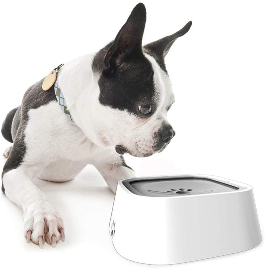 No-Spill Vehicle Dog Water Bowl - Uniq Niche