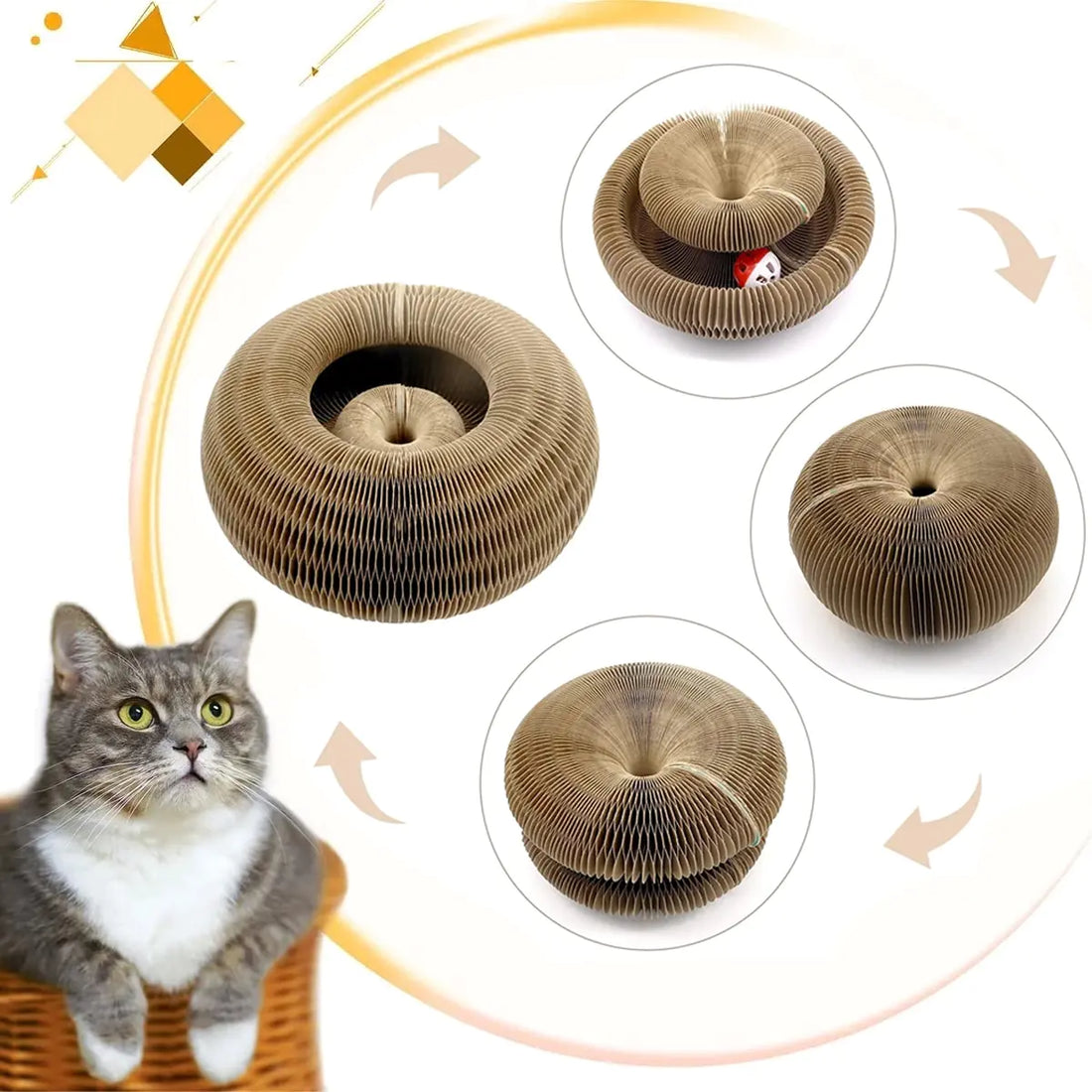 Magic Organ Cat Toy Cats Scratcher - Uniq Niche