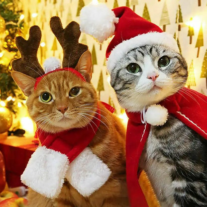 Christmas Pet Clothes