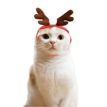 Christmas Pet Clothes