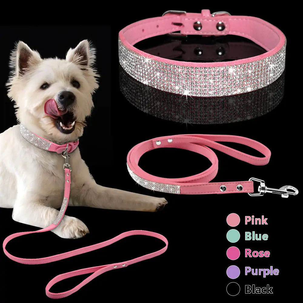 Pet Collar - Uniq Niche