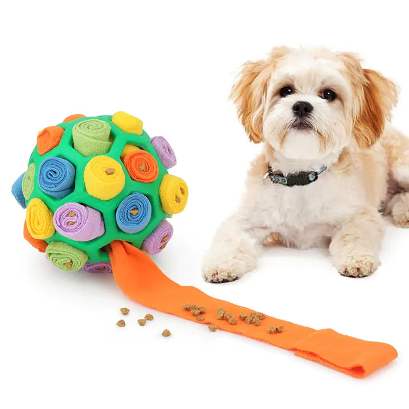 Sniff &amp; Find Activity Ball - Uniq Niche