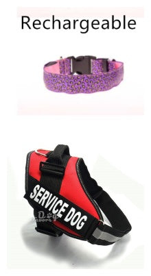 LED Dog Collar Safety Adjustable Nylon Leopard Pet Collar - Uniq Niche