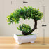 Artificial Bonsai Plants - Uniq Niche