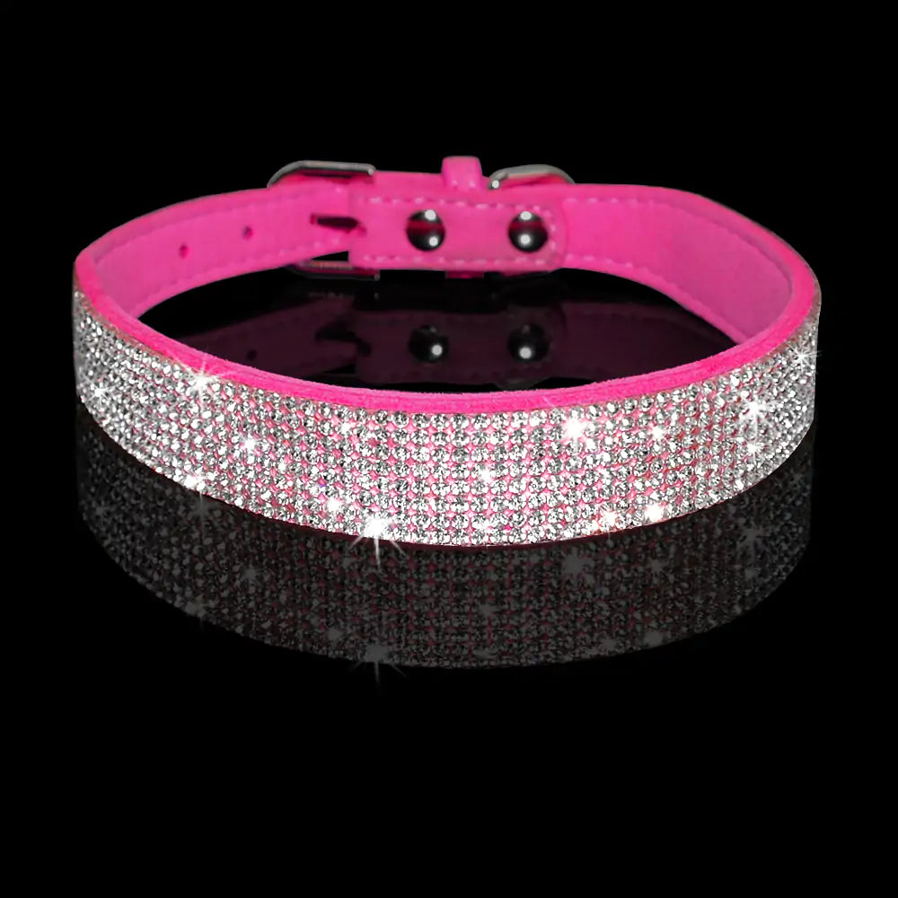 Pet Collar - Uniq Niche